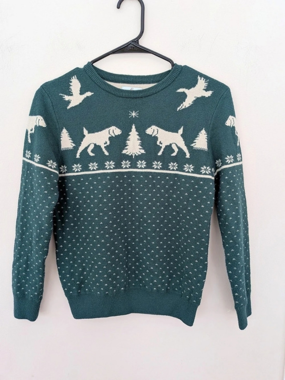 Class Club Boys 10/12 Dog Bird Fair Isle Holiday Christmas Sweater Green